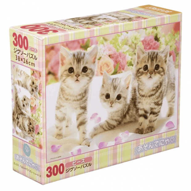 動物-1-紙質-貓.PNG
