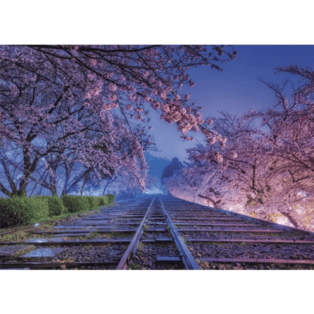 風景-2-夜光-KAGAYA.PNG