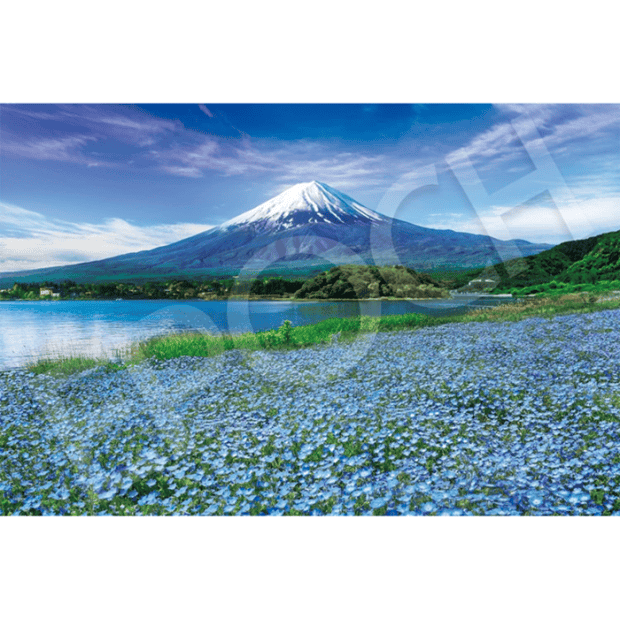 風景-34-紙質-粉蝶花開的富士山-山梨.PNG