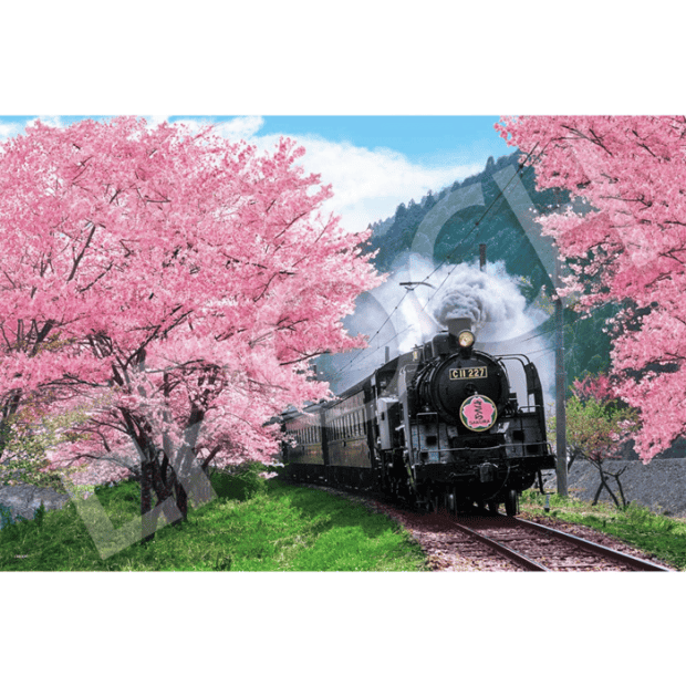 風景-48-紙質-櫻花與大井川鐵道-靜岡.PNG