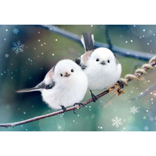 BEVERLY 300片 毛茸茸的 北長尾山雀(300-061)