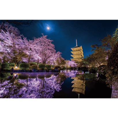 風景-13-夜光-KAGAYA-在月夜綻放-京都.PNG