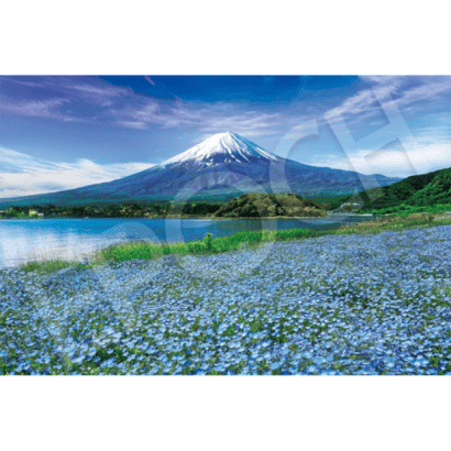 風景-34-紙質-粉蝶花開的富士山-山梨.PNG