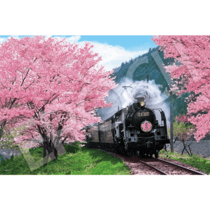 風景-48-紙質-櫻花與大井川鐵道-靜岡.PNG