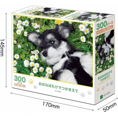 雪納瑞-2-在花田被捉住-動物.PNG