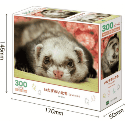 雪貂-2-動物.PNG