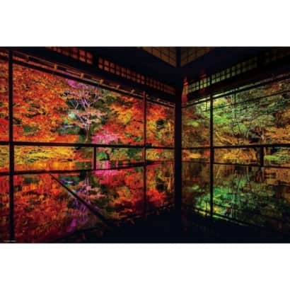 深秋的瑠璃光院 京都 風景